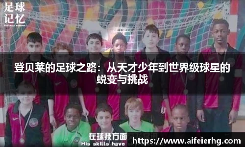 DB旗舰官网